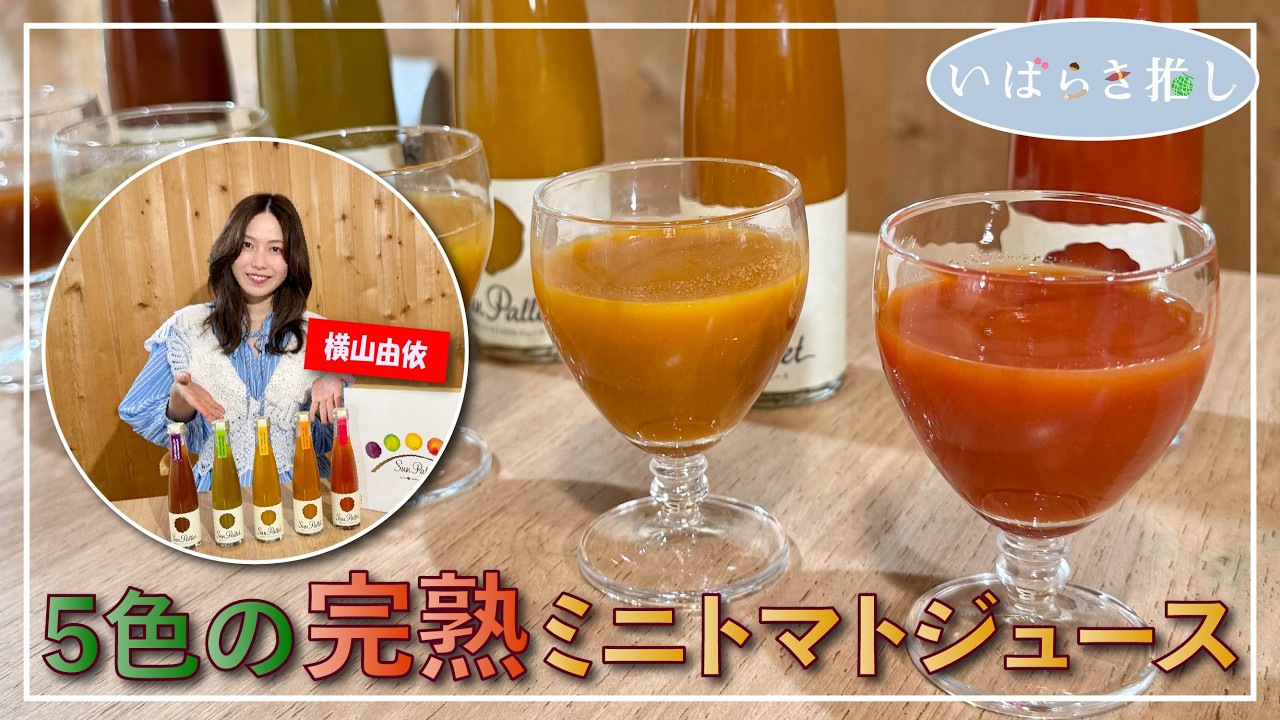 いばらき推し「5色の完熟ミニトマトジュース（常総市）」【出演：横山由依】
