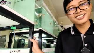 REVIEW TOKO PUSAT PENJUALAN IKAN ARWANA DI KOTA KARAWANG JAWA BARAT FEAT VERTIKAL FAUNA.