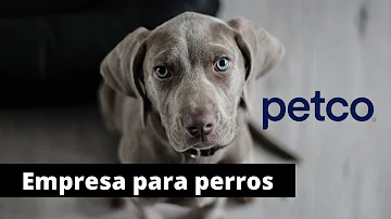 ¿Por qué Petco dejó de vender collares de choque?