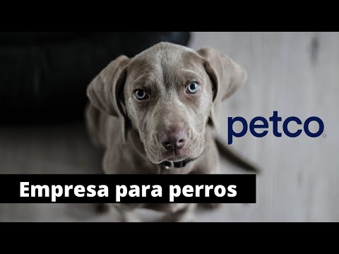 Video: Petco per smettere di vendere cibo per cani e gatti con ingredienti artificiali