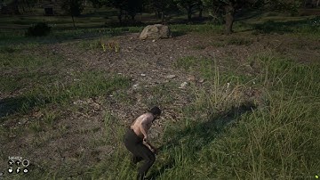 [#RedM Scripts] Treasure hunting OUTDATED