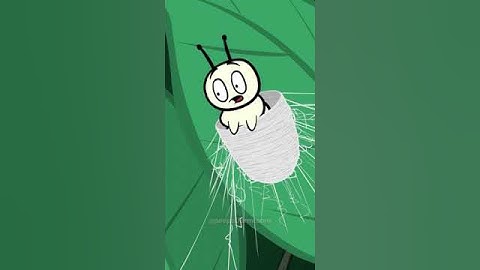 silk =A story of silkworm