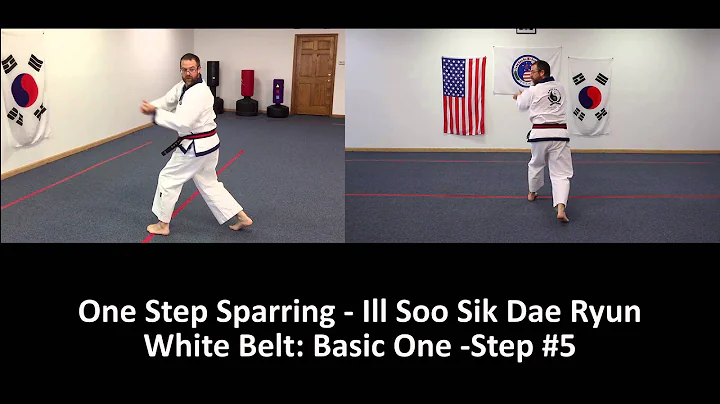 White Belt Basic One Step #5-One Step Sparring Ill Soo Sik Dae Ryun