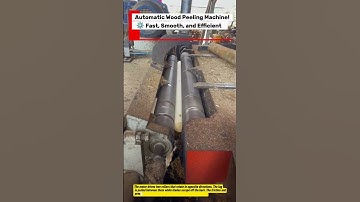 Automatic Wood Peeling Machine! ⚙️ Fast, Smooth, and Efficient