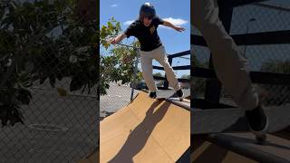 5 Beginner Mini Ramp Tricks. #qualityskateboardlessons #miniramp