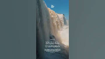 آيات قصيرة من القرآن الكريم  وإن ربك ليعلم ما تكن صدورهم وما يعلنون