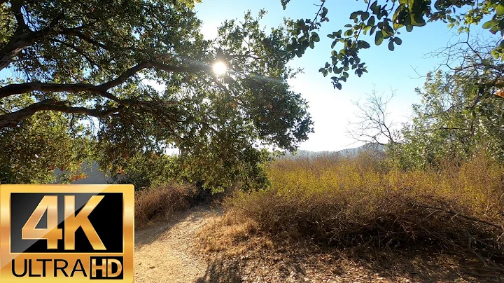 4K Virtual Hike | FRYMAN CANYON TRAIL