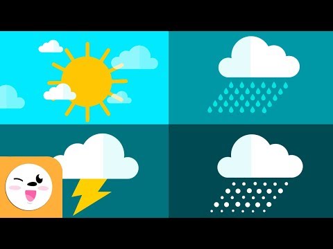 Video: Cómo Predecir El Clima Por Un Gato