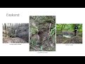 Conférence : Glissement et karst en Montagne de Reims, apport de la tomographie électrique