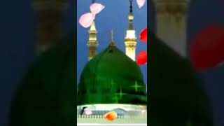 Hamara Muhammad Sw Hai Piara Muhammad Hamen Jaan Se Hai Piara Muhammad Naat Shareef By Asif Bahoo
