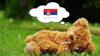 Learn Serbian While You Sleep - 1000 Important Serbian Words & Phrases