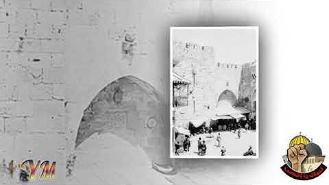 93  سورة   الضحى القارئ سعد الغامدي
