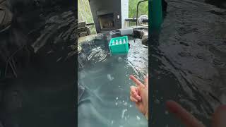 I actually didn’t think it would float… #cooler #camping #outdoors #summerhacks