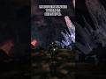 MH World: A beautiful game