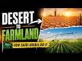 How Saudi Arabia Grows Food in the Middle of the Desert