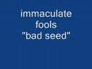 immaculate fools - Bad seed (audio)