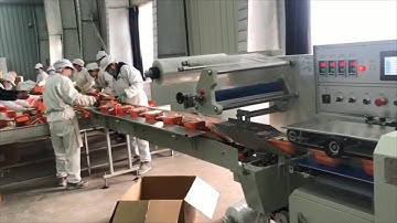 High Speed Horizontal Shrink Wrap Machine Packaging Case