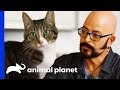 Jackson Helps Cat With Kidney Disease Get Healthier | My Cat From Hell
