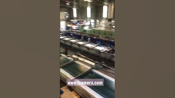 Cotton Fabric Flat Bed Screen Printing
