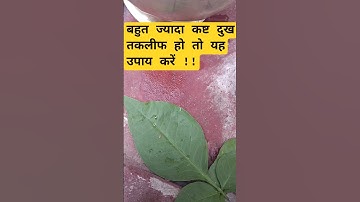 बहुत ज्यादा कष्ट दुख तकलीफ हो तो यह उपाय करें !! #pandit_pradeep_ji_mishra #upay