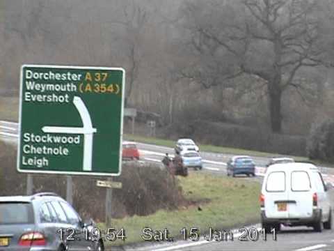 Hunting Along the A37 Yeovil to Dorcester Road