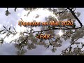 ♋РАК - Гороскоп на Май 2020