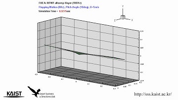 Flapping-wing FSI analysis