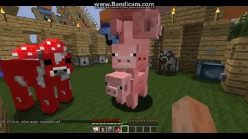 Minecraft Funland 3 part 1 (no commentary)