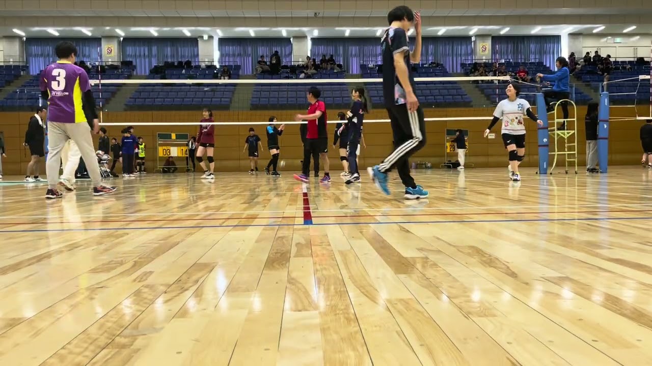 ネコバス 3/1 ②