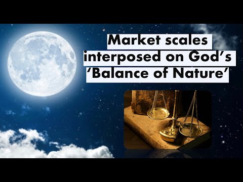 Odon-Pt.4: God's Balance in Nature, Corrupted (S.55:5-13)