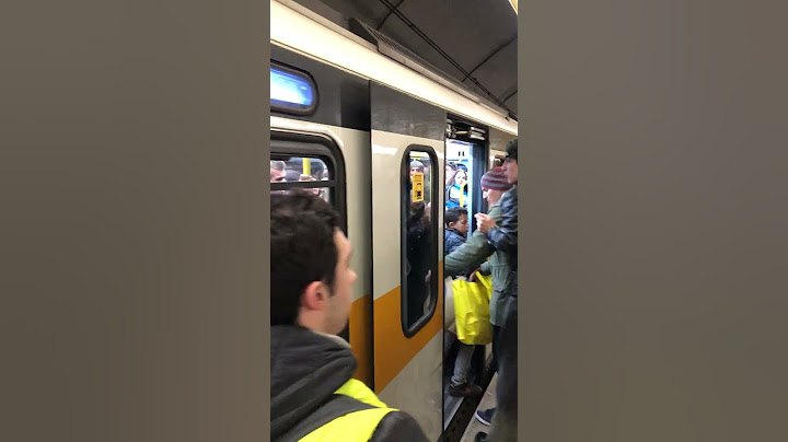 MI HAI PUNTATO IL COLTELLO FIGLIO DI TRxxA! BORSEGGIATRICI tirate fuori dal vagone metro a Milano!