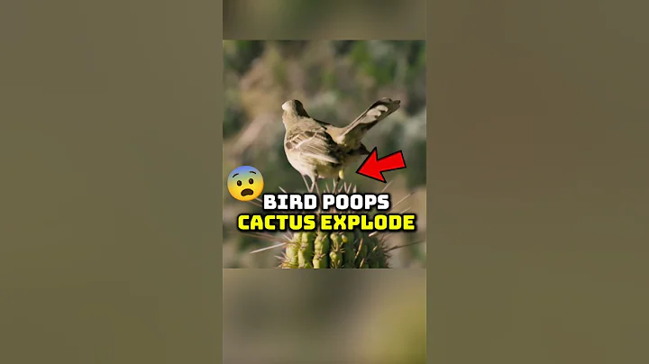 Nature’s Weirdest Life Cycle 🌿