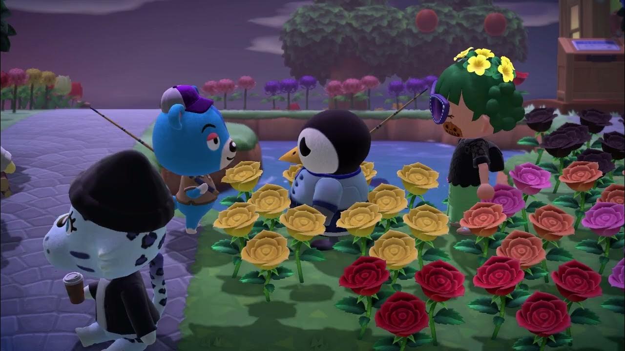 Animal Crossing New Horizons - Aurora and Kody - YouTube