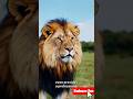 Turn Text into Videos with Pictory AI
