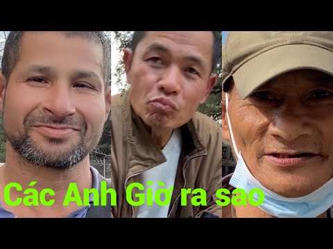 Video ANH PHÚC BÂY GIỜ RA SAO. ANH LỘC HẾT THUỐC CHỮA.ANH... - youtube