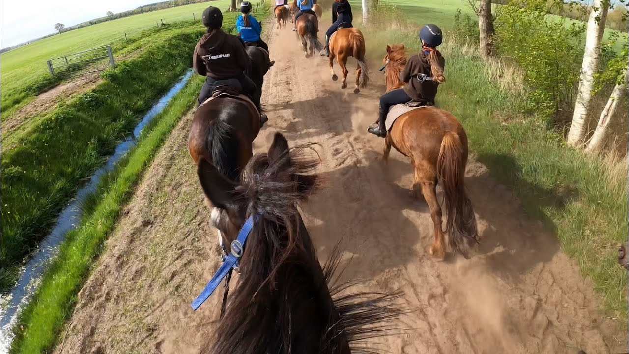 Rc Het Fjordenpaard - Kamp Mei Week 1 2022