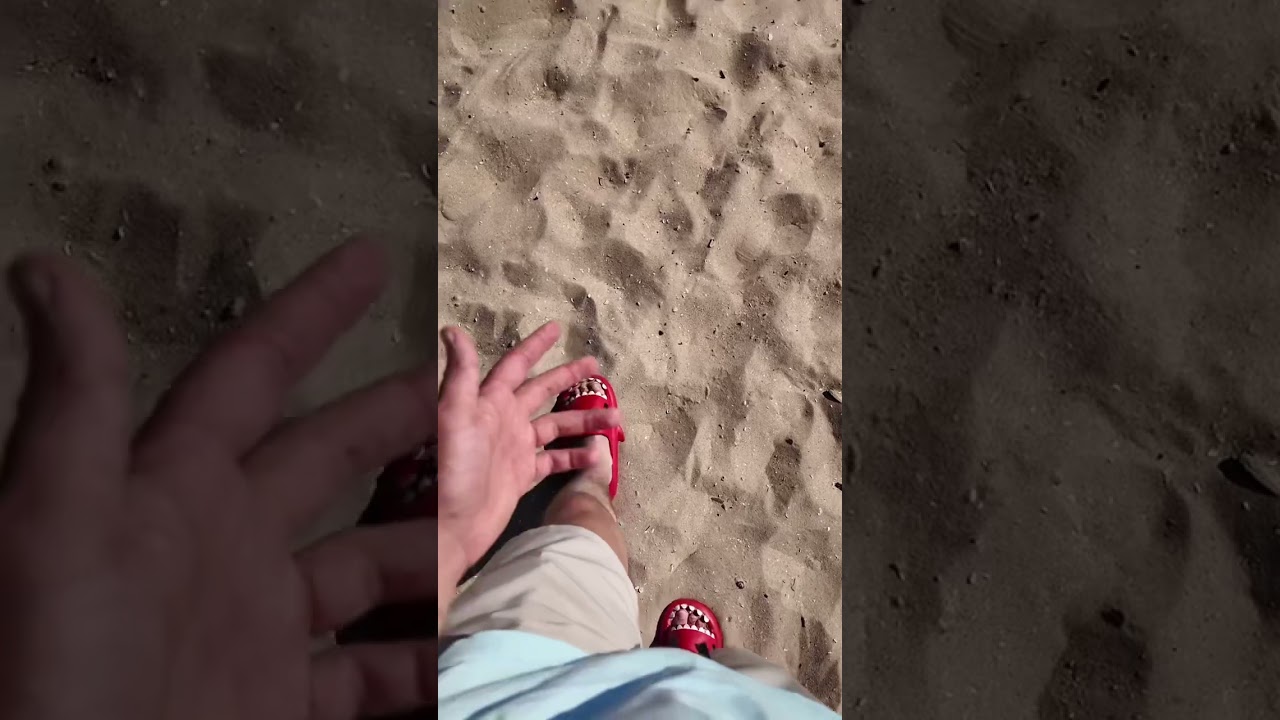 Super cheap shark slides perfect for the beach! 