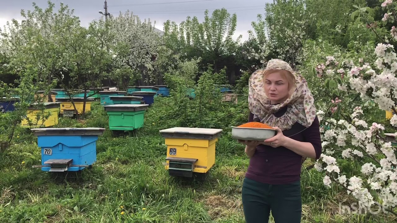 Что такое цветочная пыльца и как ее принимать. - YouTube