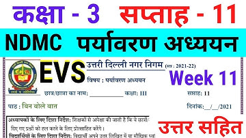 NDMC Class 3 EVS Week 11 Worksheet 11 (11/8/21) पर्यावरण अध्ययन सप्ताह 11 Class 3rd week 11 solution
