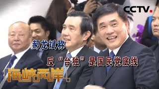 《海峡两岸》郝龙斌：反“台独”是国民党底线 20200225 | CCTV中文国际