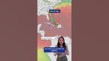 Hurricane Season Serving Spaghetti