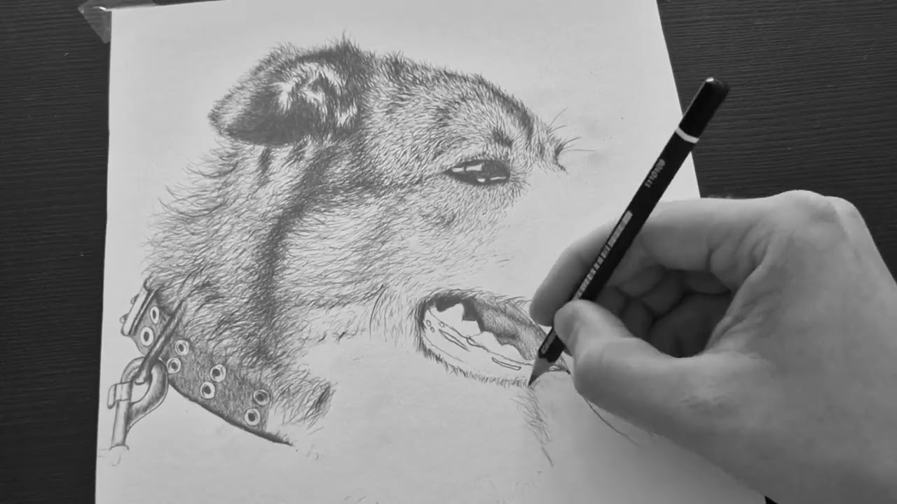How to draw a dog realistic but easy step by step