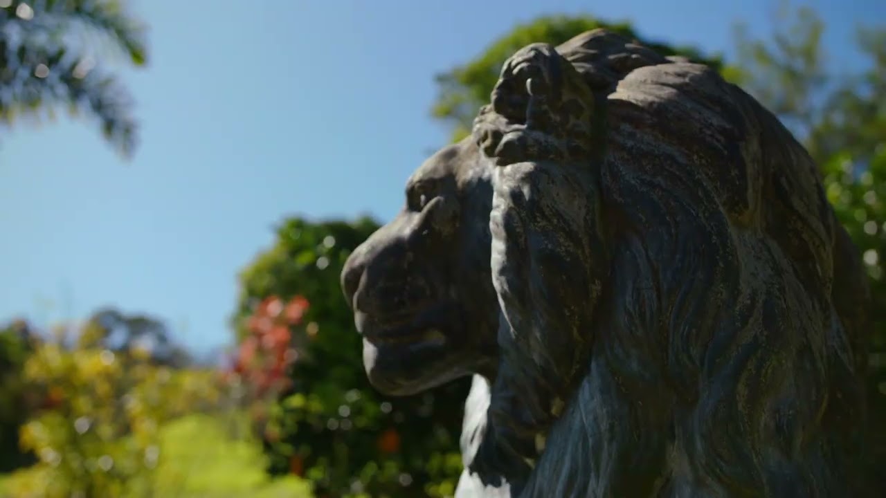 Private sanctuary in Upper Burringbar!