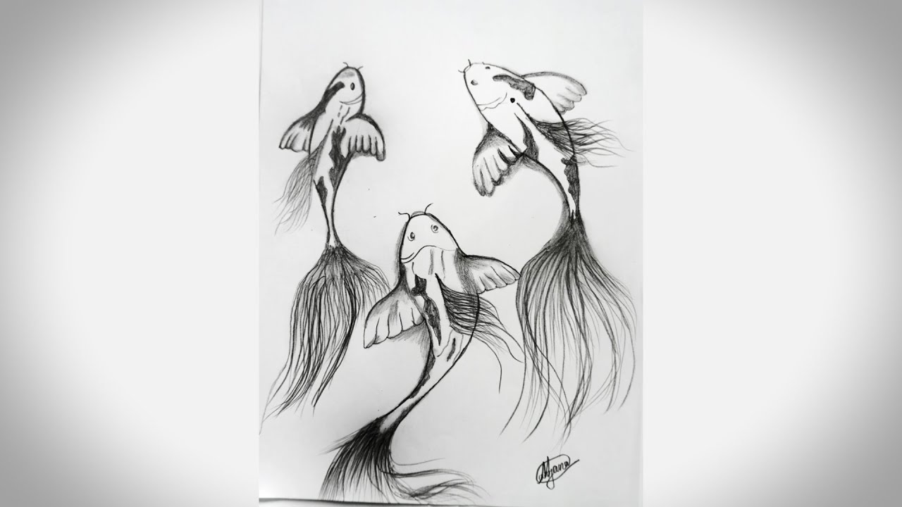 Amazing Fish Drawing | Easy Drawing of a Fish | How to draw Fish Sketch