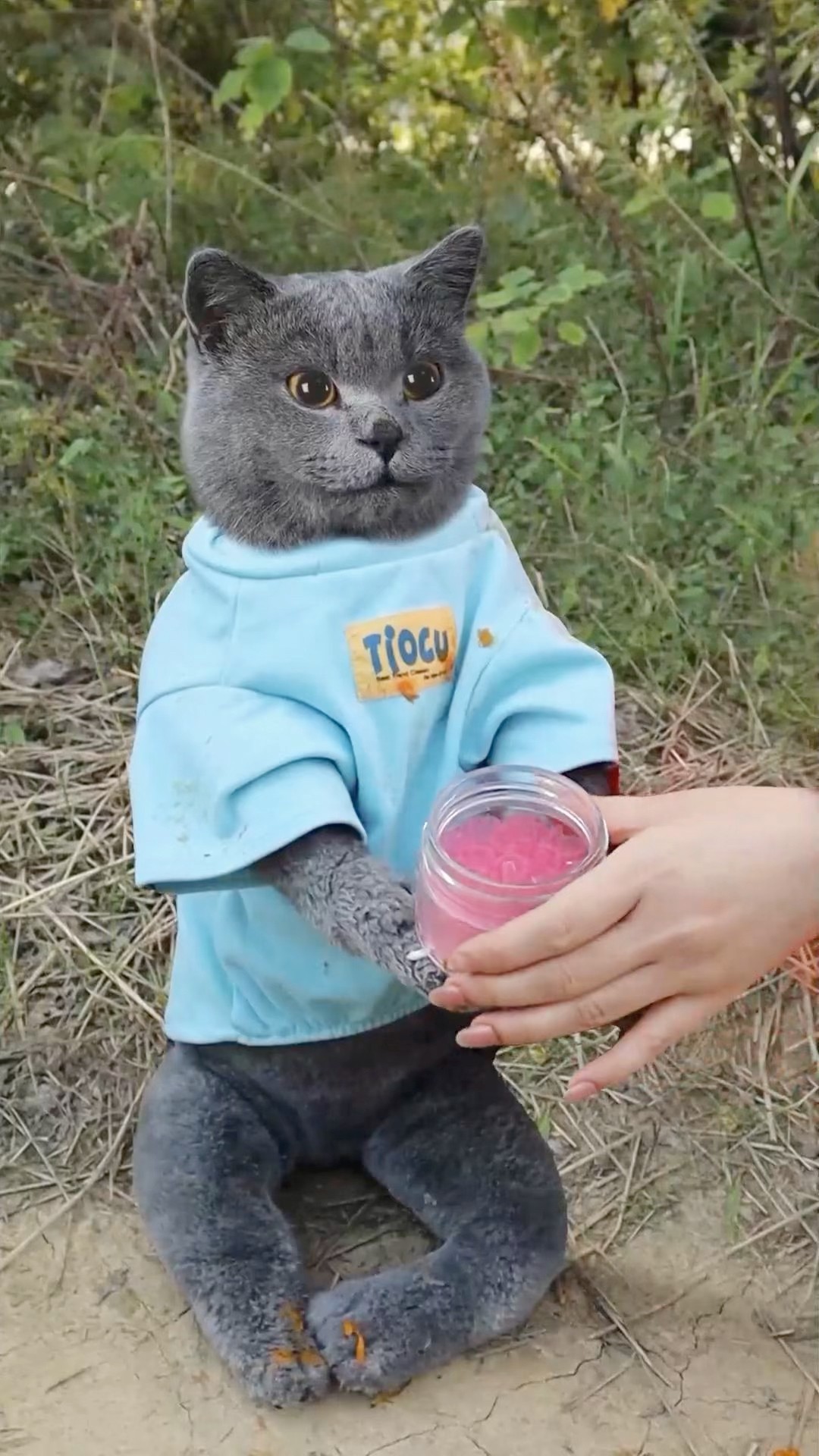 Too dirty! Slice Your Soap for Quick and Easy Cleanup??? #funnycat #camping #outdoors #catmemes