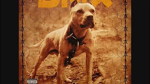 DMX - my life