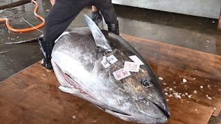 Superb Cutting Skill for  Super-Giant Bluefin Tuna漁郎