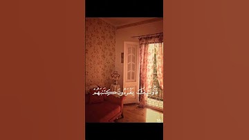 سورة الإسراء الآيه ﴿ 71 ،72 ﴾Suraht Elesraa #quran #freepalestine