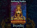 ☸Long Life Mantra(Amitayus Buddha)