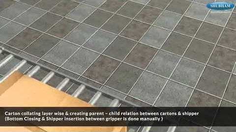 Serialization Solution for Cartons